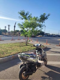 ماكس مضلع • ٢٠٢١ • محرك مفتوح