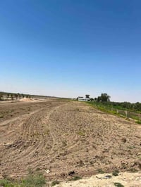٣ دوانم • طابو زراعي • طريق كربلاء نجف
