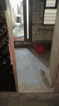 الكرغوليه • ٦٤م • طابو سند ٢٥