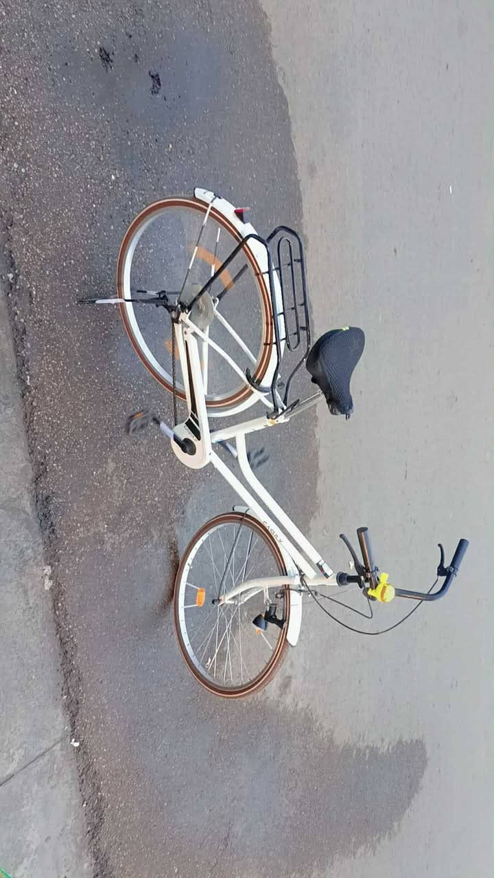 السلام عليكم بايسكل كلوف  ياباني مال باله شرط وكاله جديد بمعني الكلمى يلمع لمع حجم 26 بي حساس ضوه يده كامله بصف البريك مموجود ببقيه البايسكلات تايرات جوزيات خط ابيض اشريته قبل شهر ب170 اللله شاهد رايده 120 بيه مجال  حك الجيه مكاني بغداد حي العامل للاستفسار ***********
