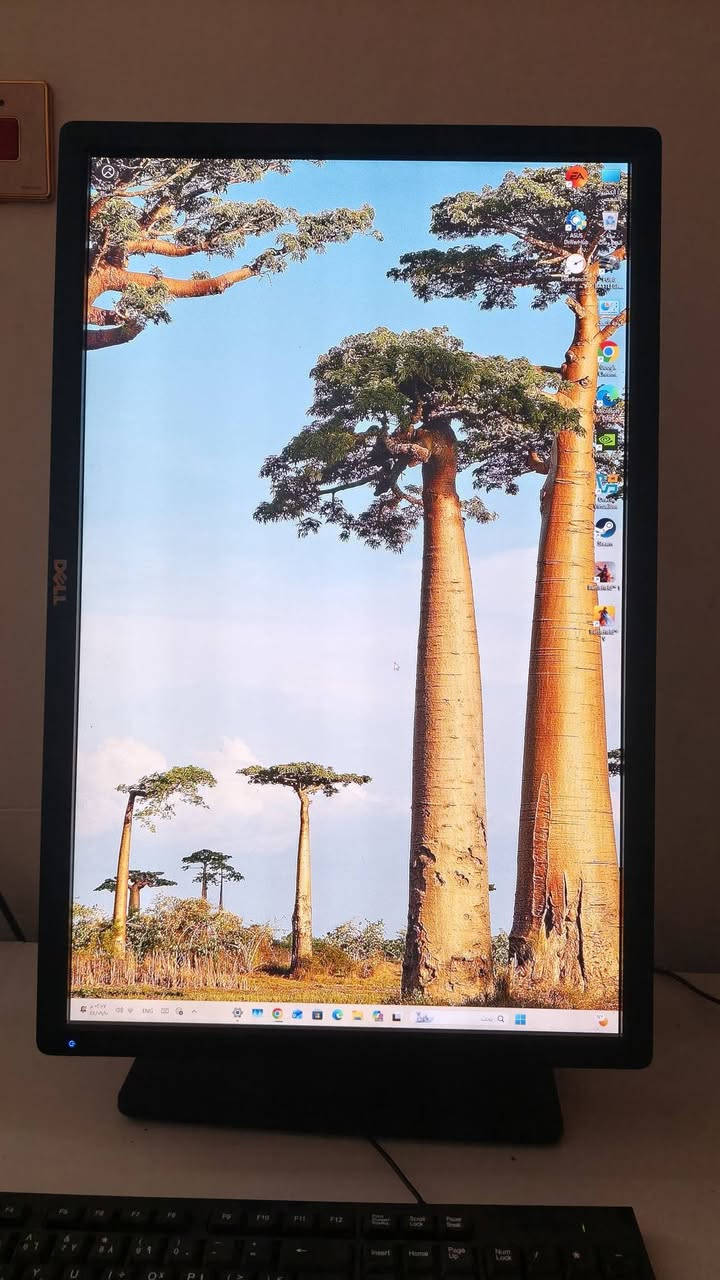 شاشه Deel حجم 24 كلش ممتازه الشعر 125


**إذا كنت صاحب هذا الإعلان وتريد حذفه لأي سبب، رجاءا أرسل رسالة إلى الدعم الفني**