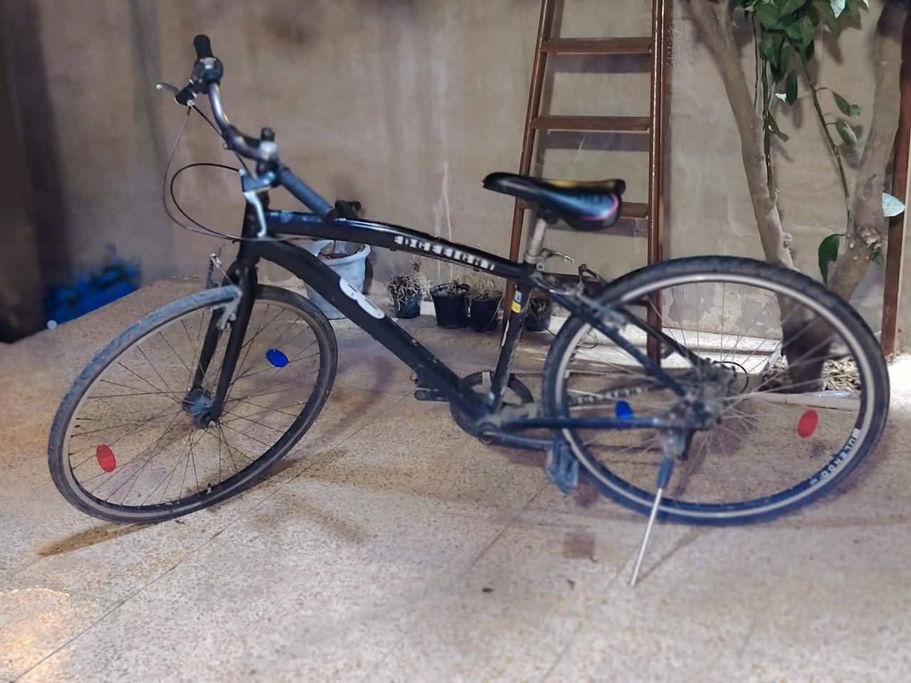 بايسكل حجم28 
فول مواصفات 
مابي اي عطل 
عنواني شقق الخضراء قرب المتنزه 
رقم الواتساب ***********
دزلي سعر أقيمو
