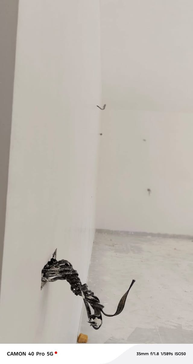 السلام عليكم ورحمة الله وبركاتة
كادر كامل من الموصل   لبخ خارج +  جص وبورك الكادر متكون من 13 ستاد علي عامل مبيت داخل الموقع صافي ماعليك بكلشي  شغل واحد على واحد 
للستفسار *********** متواجد حاليا في الطيوب 
سعر المتر داخل خارج 4000
