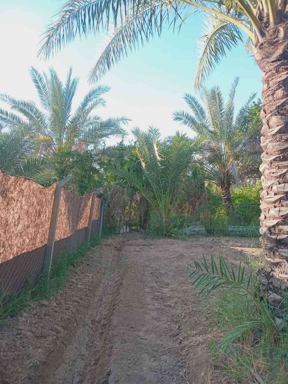 750 متر طابو زراعي سند 25 مفوضه كامل خدمات على التبليط مباشر.
كهرباء ماء اساله تصلح للسكن عنوانها بغداد الراشدية قرب البحيرة أو بل قرب من الشارع 
المؤدي الى الجزيرة السياحية تبعد عن الجزيرة ربع ساعه سعرها مناسب 
***********
***********
