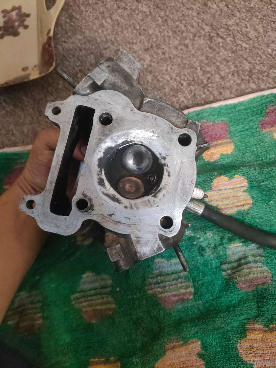 السلام عليكم كور ولفين كبار بصمه  يشغل من ٥٥ لل٦١ مكفول لا صوت ولا تهريب ولفات جديده رايده ب٥٠ وبي  مجال مكاني كربلاء رقمي***********
