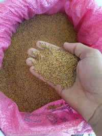 برسيم • طن ونص • واسط العزيزية