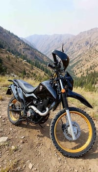 دراجة كافيار • أربيل • لون مميز