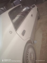 رأس اثور • ٢٠٠٥ • مكفول