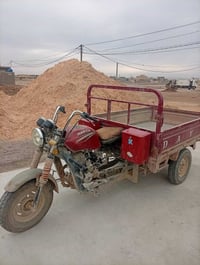 ستوتة • موديل 21 • كوت