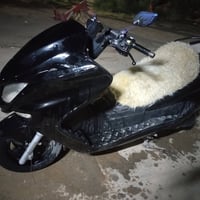 ماجسته • ٢٠٠٨ • ترايك
