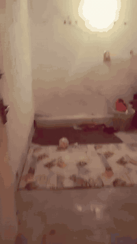 للبيع بيت زراعي مساحه 150متر مثل ماموضح بالفيديو 
مكانة دور السجانه عل سريع مقابل السجن 
زراعي ماكوا تحويل الكاع زراعي دوانم فقط مكاتبه مع صاحب البيت الكاع تابع دوانم للدوله للعلم البناء كلها مبنيه المنطقه السعر 15 مليون 
***********
***********
