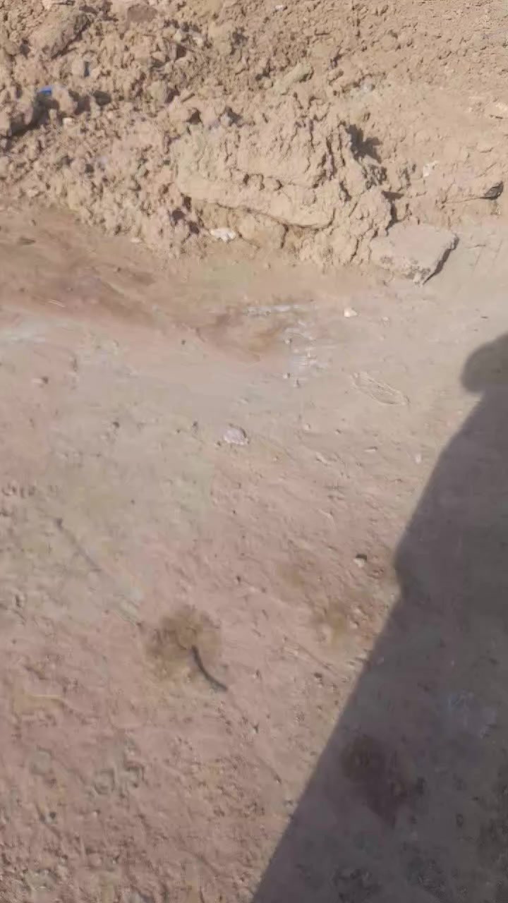 العقار للبيع مساحه250 طابوزراعي سند25 المكان خلف مجمع القند الاستفسار***********
