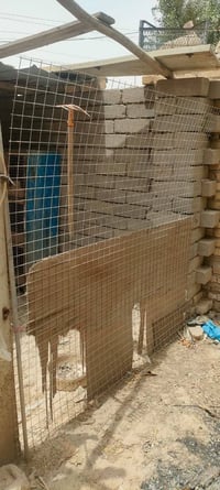 سوق الشيوخ البطاط • جينكوه • للبيع