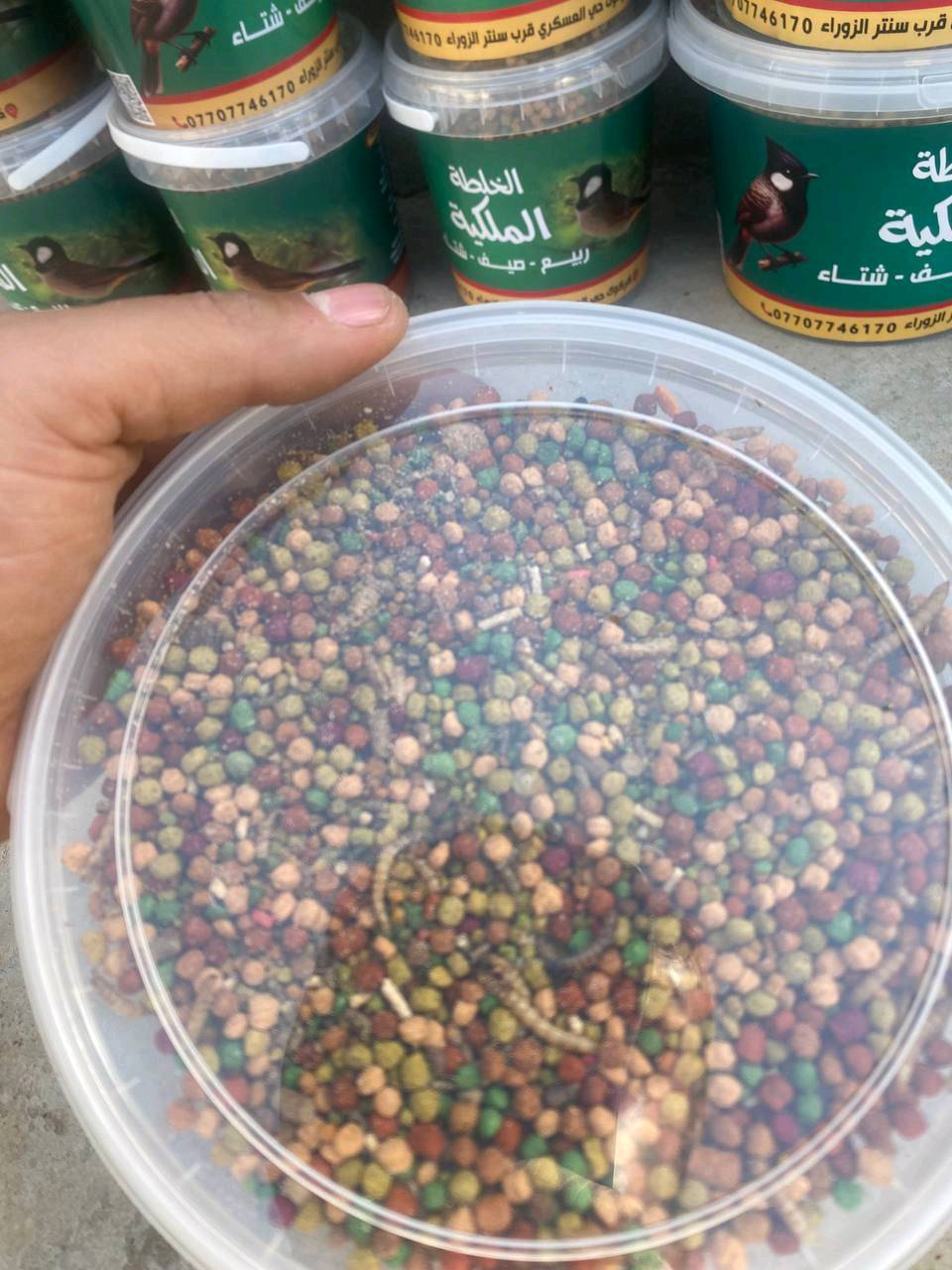 خلطة خلطات بلابل لؤي الملكي *********** 

الخلطة الربيعيه 
الجديده مواد أكثر أعتماد كامل  ❤️❤️❤️ ومواد صارت  أكثر 
الخلطه الربيعيه صارت جاهزه أعلاف مستورده تحديثات وأضافات مستمره الخاص بفصل الربيع 💐خلطه مطوره جهزت لتلائم أجواء الربيع والتكاثر  والتغريد وغيار الريش وخشونة الطيور وتغيير أللون ورفع مستوى التغريد خلطة البلابل والطيور المغرده التحديث الجديد هو عباره عن مجموعة باتيات وتروبيكال وروبيان وحبيبات وحشرات حقيقه وألاضافات مستمره وفرنالكم خلطه خشونه أكثر مواد أكثر الخلطه متكامله بعد لافواكهه تقدم ولاخبز أعتماد كامل عليه بمستوى متكامل من البروتين والفيتامينات والمعادن والدهون المفيده ممكن تقديمه لجميع أنواع الطيور المغرده..... متوفر توصيل داخل بغداد وجميع المحافظات اقضيه ونواحي...
سعر الكيلو 10
سعر النص كيلو 5 
تواصل داخل كركوك ألف دينار فقط 
سعر التوصيل داخل بغداد 5 فقط 
سعر التوصيل لجميع المحافظات اقضيه ونواحي ٥ فقط 
للطلب ألاتصال ***********

 تنبيه 🚫 تأكد من وجود الرقم 7707746170 0 على العلبه والباركود الي يقرء الصفحه ألاصليه