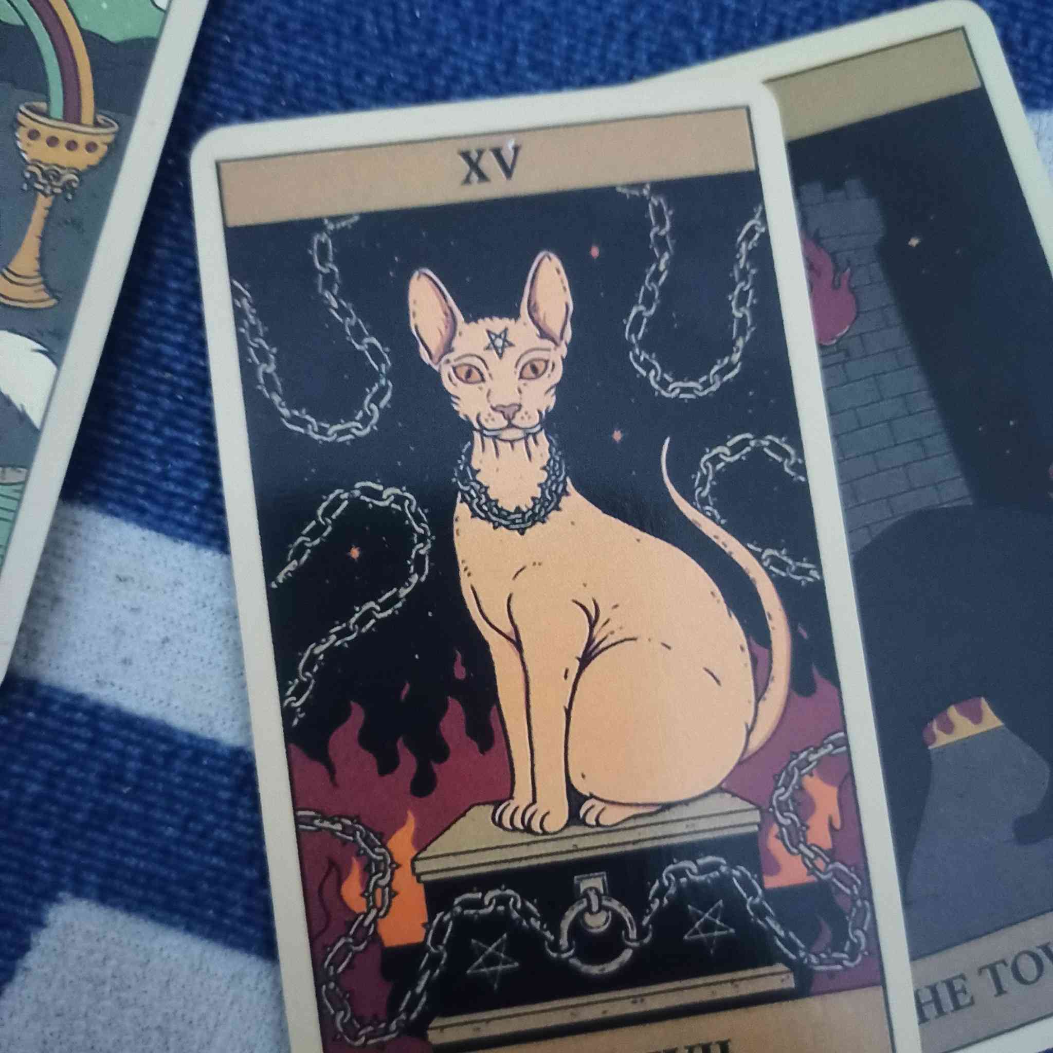 سلام عليكم ٢٣ باكيت كل باكيت بيه ١٠٠ صورة كله بزازين


**إذا كنت صاحب هذا الإعلان وتريد حذفه لأي سبب، رجاءا أرسل رسالة إلى الدعم الفني**