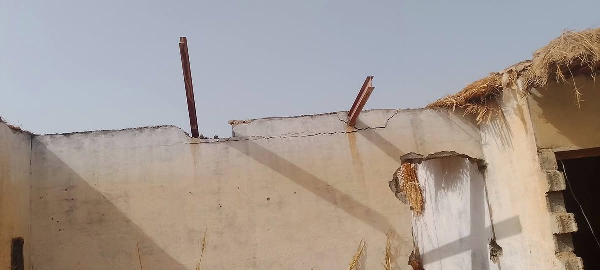 السلام عليكم
يوجد شخاطه للبيع عدد 13  وطول 6 متر ويوجد شلمانات ثنين للبيع 
الاستفسار ***********
