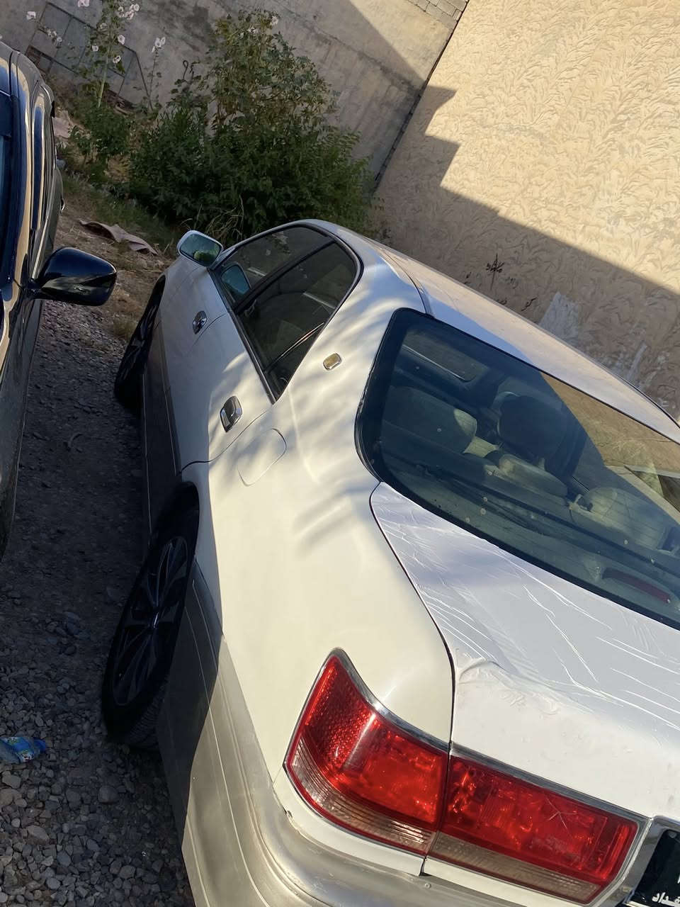 مه ليكه براوه ٣  دوگمه مه كينه گه وره
كود نه كراوه گيروو مه كينه و ته بريت بي عه يبه  سبوخ به شه رتي سه قفوو حيزام تندوو توله  پشت كريستال سعري ٣٣ گلاو مه جالي كه م ته نها فروشتن شوين كه لار ***********
