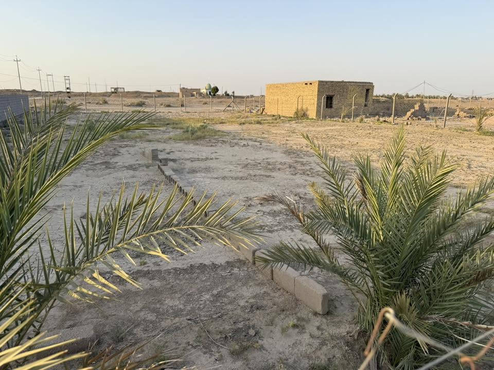 السلام عليكم...يوجد قطعه 1300 متر مزروعه نخل ومسيجه بي ارسي وماء وكهرباء وبيوت سكنيه نهايه شارع ابو كميل قبل مزار سيد علي ب250 متر تصلح بستان اوتقسم قطع سكنيه كما موضح بالصور ...
الكاع مرتبه وصاحبها محتاج ويريد يبيع الشراي فقط يواصل مع ....
صاحب الارض رقمه ‪***********‬
