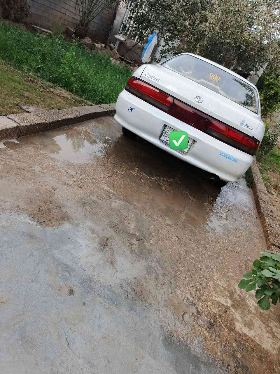 سلام عليكم كرستاا نفخ مديل 93 رقم بصره مشروع وطني مداوره ثاني يوم مكفواله من العيب الشرعي ومن نقل جثه تخم تاير حداديه توني مسويه تبريد شغال سياره جاهزه من كلشي مكنيه ونجي سياره خير من الله ذي قار \ الشطره السعر/60 وبيه مجال قليل للاستفسار ع رقم ماامتواجد ع نت الرقم ***********
