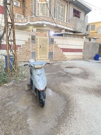 عصفوريه • تشتغل • ديالى الشط