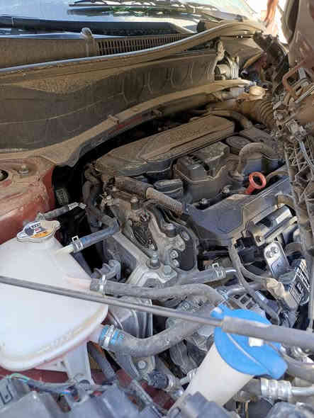 كيه سيلتوز موديل ٢٠٢٤  وارد امريكي
رقم اربيل 
***********
العنوان بغداد  الرئاسه جامع النقيب
