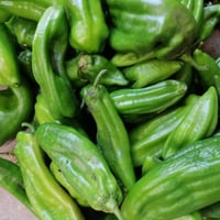 طماطه عراقيه • بتيته عراقيه • توصيل هيت
