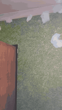 السلام عليكم هاذ جزه من عملي اني خلفه صبغ وطلس وديكورات متفرغ حالين اطلع كباله او بليوميه وي خلفه او مقاول للتواصل *********** مكاني بغداد المدينه
