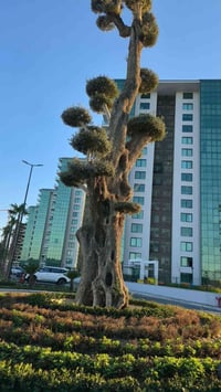 شقة للبيع  من قبل المالك في مجمع الود السكني جاهزه للسكن مباشر المساحه...