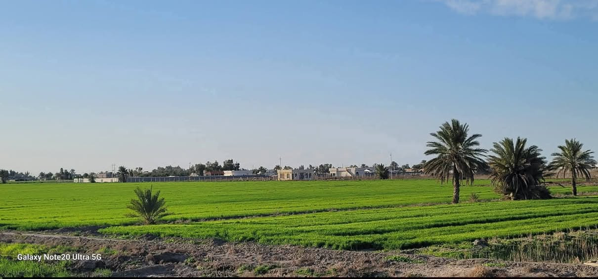 السلام عليكم ✅
متوفر دونمين وسعرهن16 يعني سعر الدونمين
ثنينهن 15 مليون قفل طابو زراعي سند 25 فتح
بيان بأسم المشتري على شارع 10 مترات وواجهية
الدونم الواحد 45×55 واليات تبليط داتبلط يبعدن
عن الارض اقل الكيلو العنوان تاجي سبع البور منطقة 
الشيخ عامر بلعيساويه عبور الجسر الثاني تبعد المنطقة
 عن مدينة سبع البور 15 دقيقه وعن السوك 12 دقيقه 
للاستفسار متوفر واتساب بلرقم ***********
