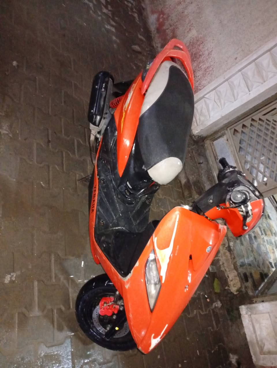 ا السلام عليكم ماكس ثعلب للبيع بلاديه كلهه ختم واحد مكاني الحريه رقمي ***********السعر 750وبيهه مجال
