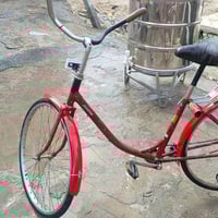 باسكل • حجم ٢٦ • الديوانيه