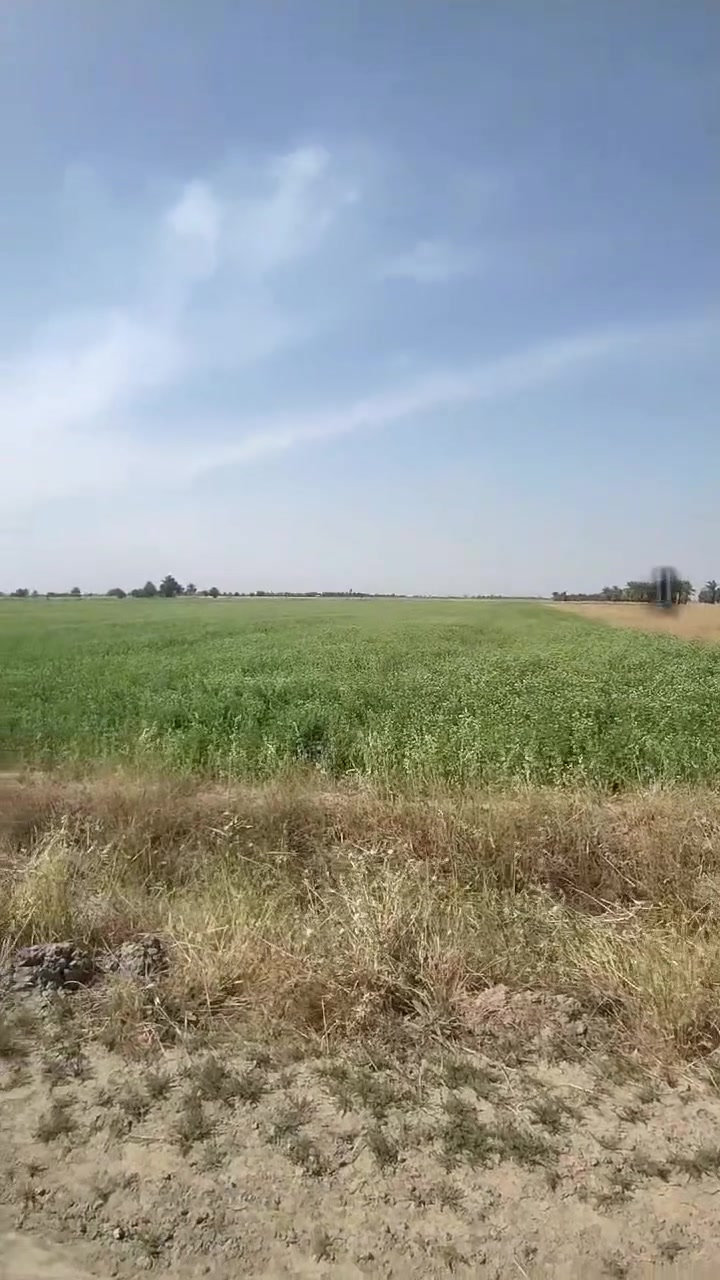 📢 السلام عليكم – عرض اليوم 📢
📍 الموقع: مقابل سبع البور – منطقة الشيخ عامر
📐 المساحة: 10 دونم
الوجهة 50 والنزل 50 
✨ تفاصيل الأرض:
✔ تقع قرب ذراع دجلة
✔ تبعد فقط 50 متر عن ذراع دجلة
✔ الأرض على الصب الروائي مباشر
✔ الأرض حالياً مزروعة كما موضح
✔ موقع ممتاز ومرغوب

🏡 الخدمات:
✔ ماء
✔ كهرباء
✔ إسالة
✔ قرب السكن
✔ قرب المزارع والشاليهات

🚗 تبعد فقط 3 دقائق عن جسر الشيخ عامر

📄 الطابو: طابو الفلوجة – سند 25
💰 سعر الدونم الواحد: 38وبي مجال 

✅ تباع حسب الطلب

📞 للاستفسار والاتصال:
*********** 
📱 واتساب متوفر

🌹 حياكم الله ومية هلا بكم 🌹
