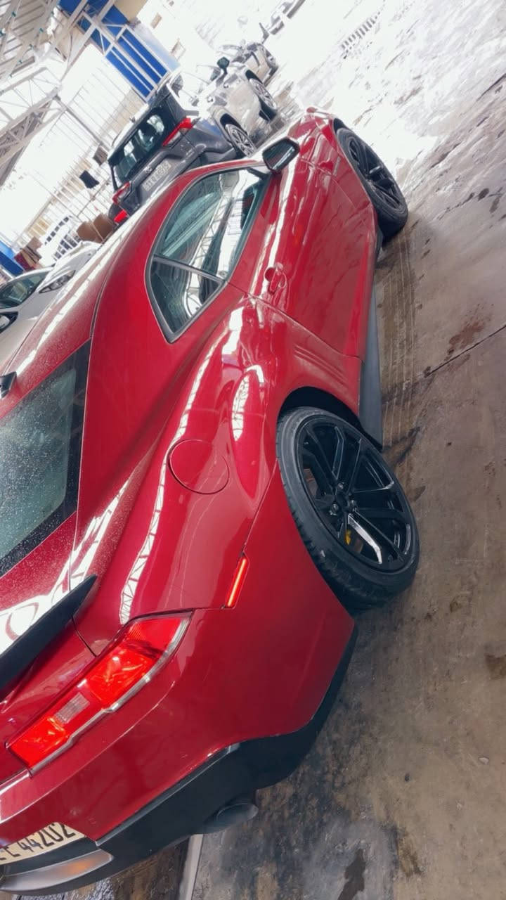 السلام عليكم كمارو 2015 v63600 الضررجاملغ خلفي ايمن وضرر خفيف كلش وشويه من الباب موصفات rs معروفه اضافات عليه بنيد كاربون فايبر الياف حقيقي كشن كهرباء تراكشن كونترول ثلاث وضعيات غرفه احمر محتمه rs تحكمات ستيرن سبورت مود شفتات ستيرن شاشه عطال وبعد بيه هوايه موصفات السعر 105 $ مكان السياره بغداد معارض البياع معرض الاخلاص شارع السنتر 
هـ ***********
