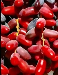 بلفهود • حفر الابار • رتواز علق