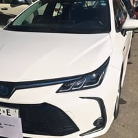 كورولا ٢٠٢٣ • بدون صبغ • دهوك