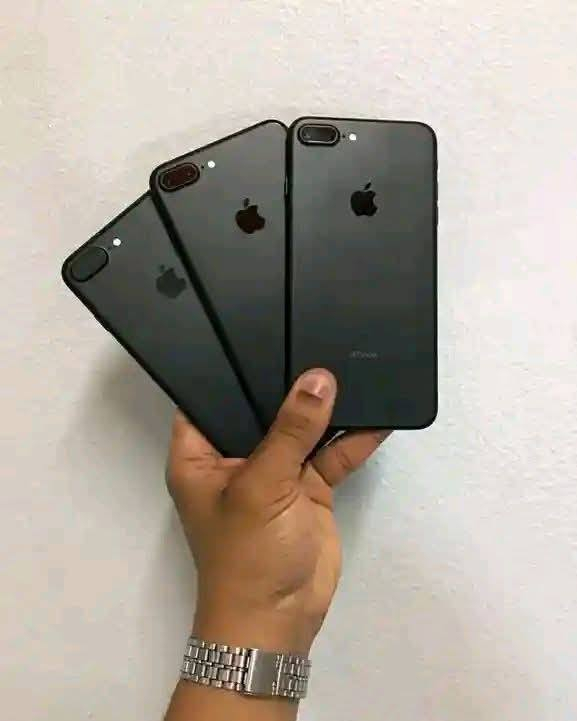 موجود باذن الله ٣ اجهزه 7 بلص وبسعر خيالي 4200 بس 💥💥😳😳
Iphone 7 plus 
الاجهزه كلها وتر بروف متفتحتش نهاي ومعاه كل مشتملاته الاصليه بدون اي عيوب نهاي الاجهزه بتلمع مساحه 32 وبطاريه من 74الي 78 وربنا يبارك لصاحب نصيبهم 
رقم التواصل 01009178352
متنساش تعمل متابعه بينزل كل يوم شغل ممتاز حالات نادره وبس


**إذا كنت صاحب هذا الإعلان وتريد حذفه لأي سبب، رجاءا أرسل رسالة إلى الدعم الفني**