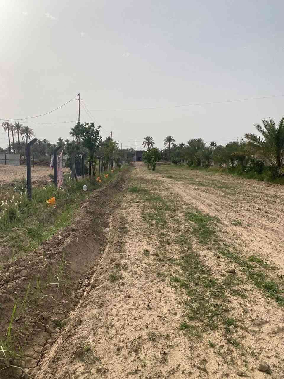 مزرعه واجه شارع تبليط رئيسي ونزال شط للبيع....

أرض مساحه دونم ونصف في السند واقع حال دونمين ونص مسيمه BRC وجاهز واجهه تبليط ٢٠م ونزال ٢٠٠م علما أن واجه الشط ٧٥م ونزال ٥٠م ومسيمات داخل سيم واحد. 

تحتوي الأرض على ١٠٠نخله فسيله زهدي 

وأكثر من ٢٥نخله حمال بين برحي ومكتوم ونسيجي ومجهول وبربن وغيرها من الاصناف النادره من التمور 

وتحتوي أيضا على أشجار التين والعرموط والمشمش 

وباقي الأرض مزروعه بلكامل 

تتمتع الأرض بكهرباء وخط مولد وماء أسأله 

موقع الأرض بابل قضاء المحاويل قريه البوعلوان شارع الخاتونيه مقابيل جامع اهل البيت وتبعد عن مدارس ابتدائية ومتوسطه وإعدادية ومركز صحي أقل من ٢٥٠م 

علما أن الأرض طابو سند ٢٥تحويل مباشر بل طابو. 

للأستفسار ***********
