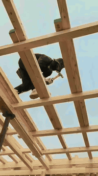 السلام عليكم 
من رخصت الادمن نجار متفرق اي واحد عنده شغل يتصل على هاذا الرقم ***********
