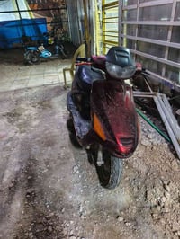 فراشه فحل للبيع كايمه قيم واخذ باليرضي الله متواجد واتساب 07804548748