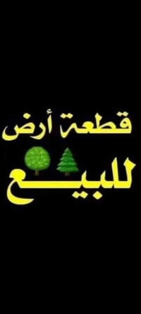 بابل حي النصر • ١٠٠م • طابو زراعي