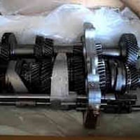 شجرة لشة • كيا • أصلي ضمان