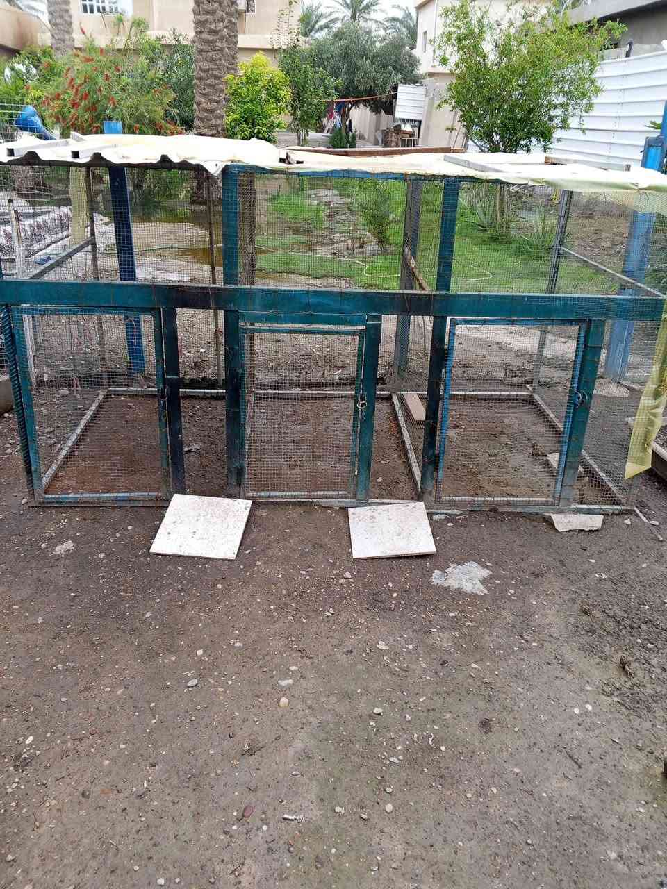 السلام عليكم....متوفر قفص مقسم الى ثلاث خانات وحديد ثقيل وسيم مغلون قفص تعبان علية وسعرها مناسب ...مكاني بغداد....السعر ١٥٠ مع المجال ..ليريد يراسلني خاص


**إذا كنت صاحب هذا الإعلان وتريد حذفه لأي سبب، رجاءا أرسل رسالة إلى الدعم الفني**