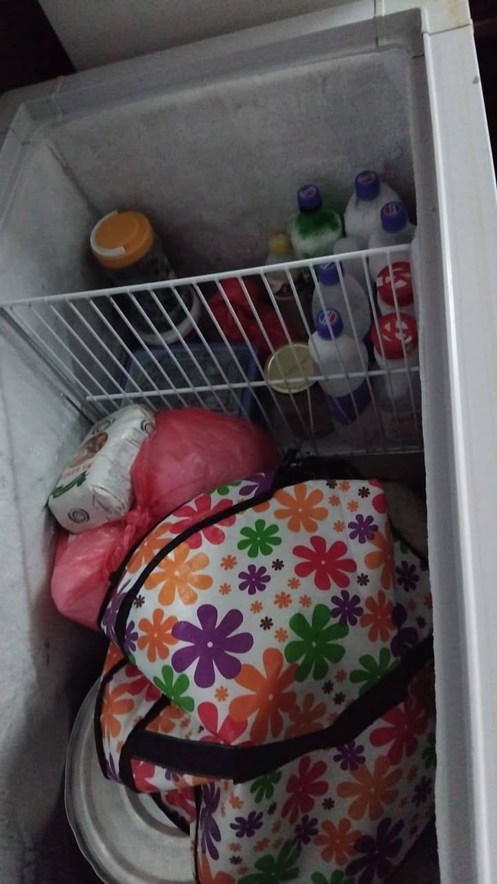 ١٧٥ مجمده بلاديه كونكرد تغليف جماليه فقط لاخياس ولاتصليح   ع الفحص
بغداد الاعظميه


**إذا كنت صاحب هذا الإعلان وتريد حذفه لأي سبب، رجاءا أرسل رسالة إلى الدعم الفني**