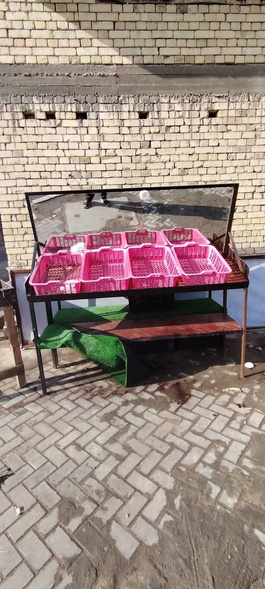 السلام عليكم رفوف مخضر عدد ٢
هاذه رقمي ***********
