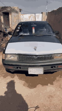 كرونا • ٩١ • النجف