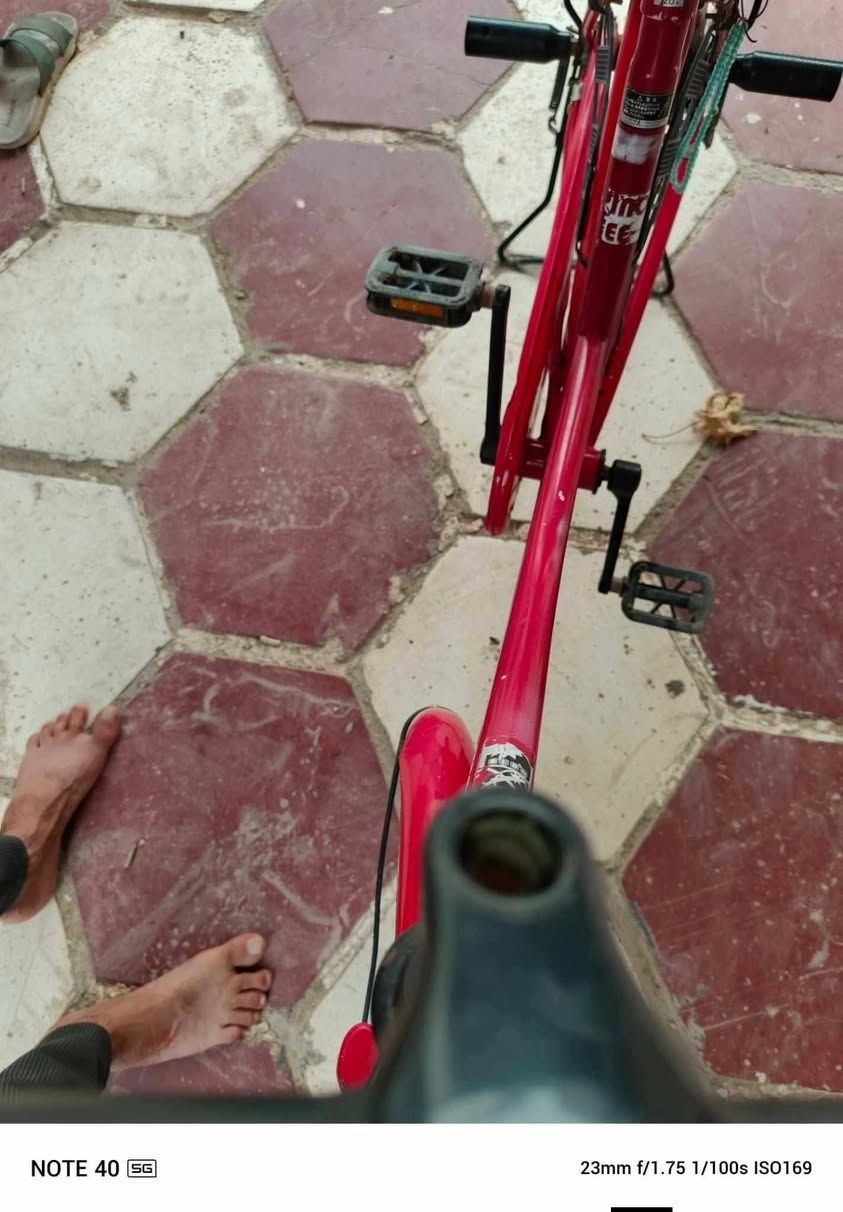 لبيع باسكل نضيف


**إذا كنت صاحب هذا الإعلان وتريد حذفه لأي سبب، رجاءا أرسل رسالة إلى الدعم الفني**