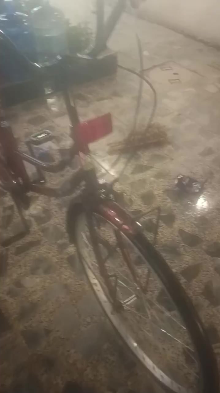 سلام عليكم باسكل بناتي موشم العنوان:المحمودية حي السلام
السعر:100وبي مجال بسيط حك الجيه
الرقم: ***********
