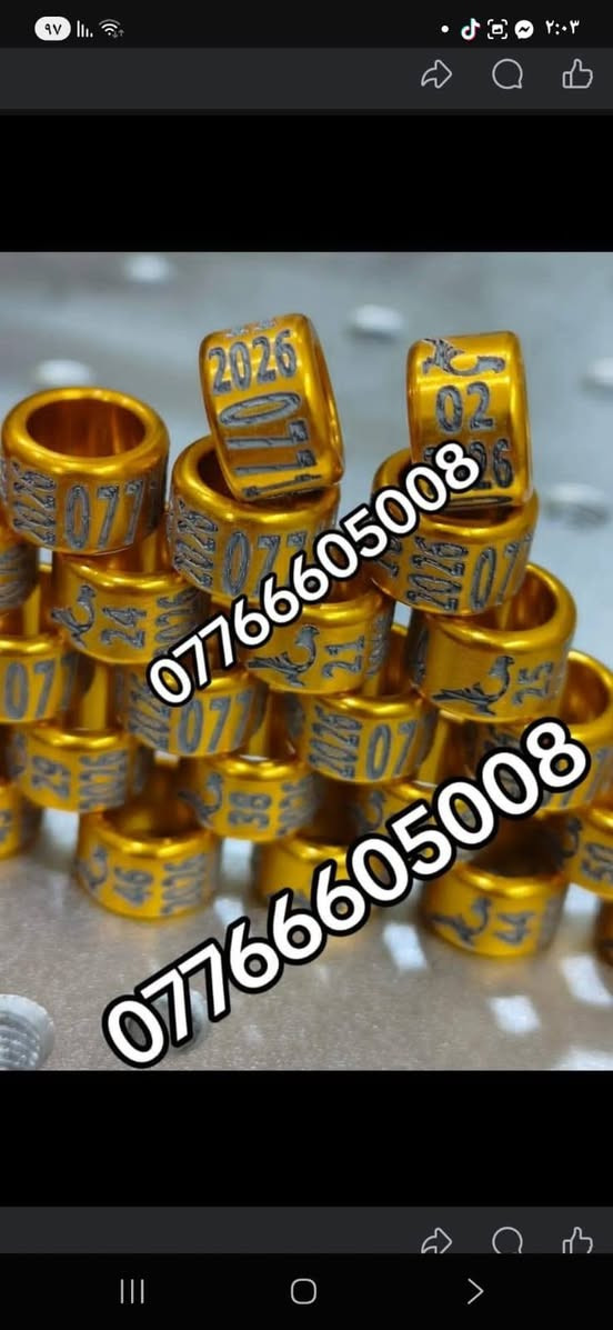 حجل طيرك وبسعار تنافسيه وشغل مضمون 👇❤️ حجول  وتوصيل لكل العراق والخبره بلعمل
تريد حجل اصلي  ❤️ يوجد لدينا كل ماهو جديد عمل جميع  انواع حجول رابطه ستندر بنواعها حمام اللوت والزاجل والرافل والحمر وتور تيدي وطيور الزينه وباقي الطيور  بكافة انواعها  المغرد جاوه وبلابل  وفجانس وكناري وبادجي هاجرمو  وكوكتيل والدره وغندور وروز والحمام الملكي  ودجاج ومختلف النوعيات الالوان والموديلات حسب طلب الزبون الحجول والقياسيات موجوده بنواعها وتلبيس لطيور الكبار موجود حسب الطلب
الموثق والمفتوح وقراصات و المنيوم مفتوح الشغل درجة أولى حفر ليزر وحجول  والطيور بانواعها ملاحظه يوجد لدينا حجول زينه تراجي وحجل جرس خرخاشه واشرات وباقي الحجول بنواعها لكافه لطيور توجد خدمه توصيل لباب لبيت لجميع المحافظات العراق 🚕🚕 بسعر مناسب جدا للحجز مراسلة الصفحه او واتساب📱📞او الاتصال علئ الرقم او وتساب ملاحظه خبره بلعمل أكثر من 10 سنوات احذر التقليد 😍 لاتنسه لايك ومتابعه للحساب هدفنا تطوير الهوايه ولطيور لتعارف 😘 

***********
***********
