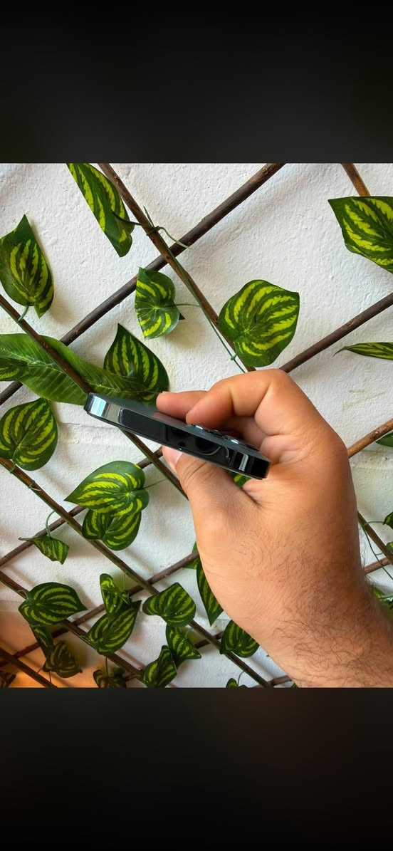 للبيعiPhone 12 Pro Max  
مبدل شاشة أصلية  
البطارية 79%  
قافل iCloud  
بيه فطر بالكلاس ممأثر على الاستخدام  
السعر 170 وبيه مجال بسيط


**إذا كنت صاحب هذا الإعلان وتريد حذفه لأي سبب، رجاءا أرسل رسالة إلى الدعم الفني**