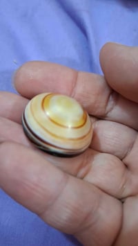 جزع بقري • عقد لسان • بغداد